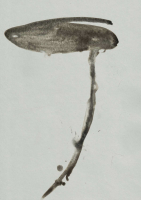http://www.actionaqua.com/files/gimgs/th-105_glashaus 5invert_v3.jpg